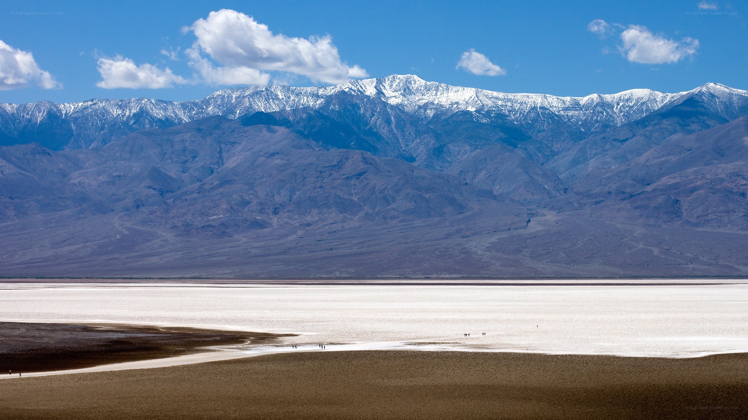 snow-capped mountains and salt flats