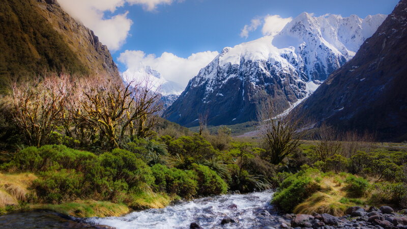 Snow-capped Mountains and Stream — Blue