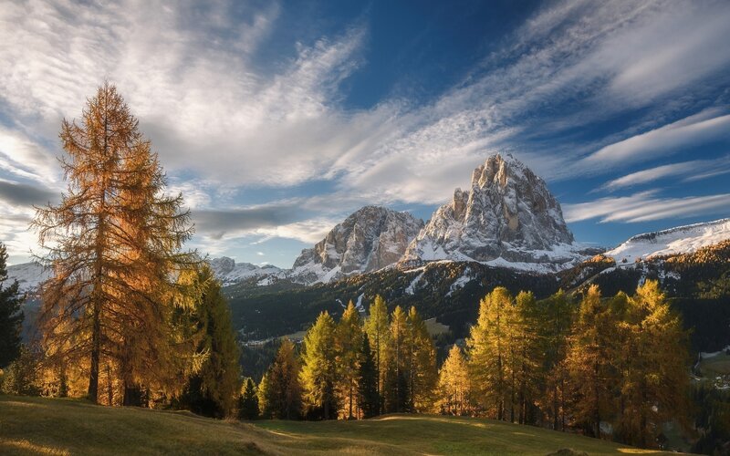 Snow-capped Mountains and Trees — Blue