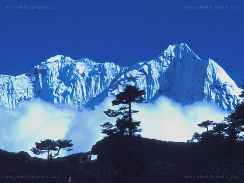 snow-capped mountains and trees