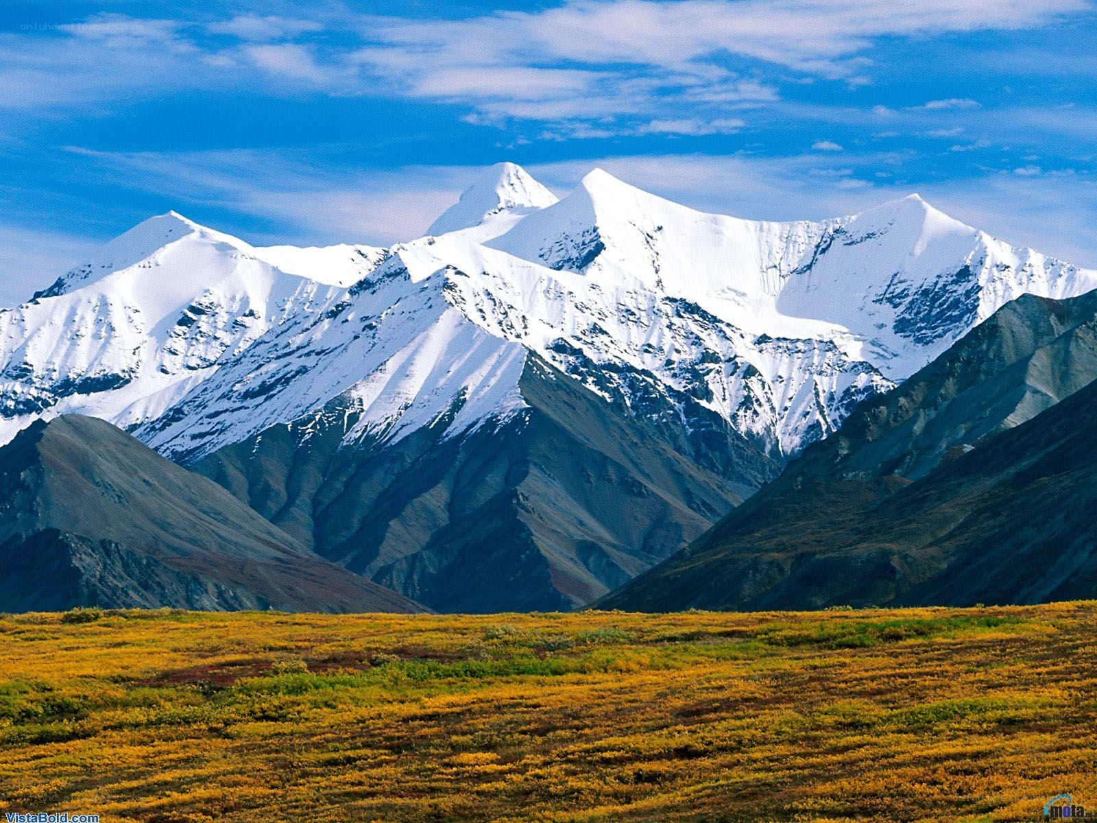 Snow-capped mountains and tundra