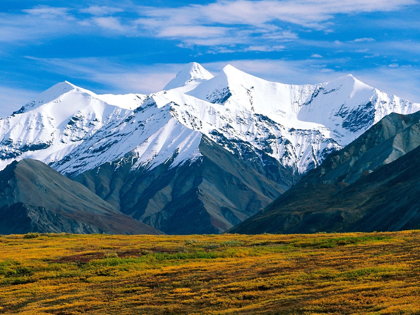 Snow-capped mountains and tundra