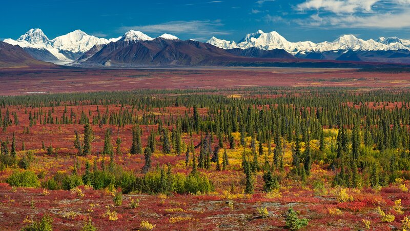 Snow-capped Mountains and Tundra — Red