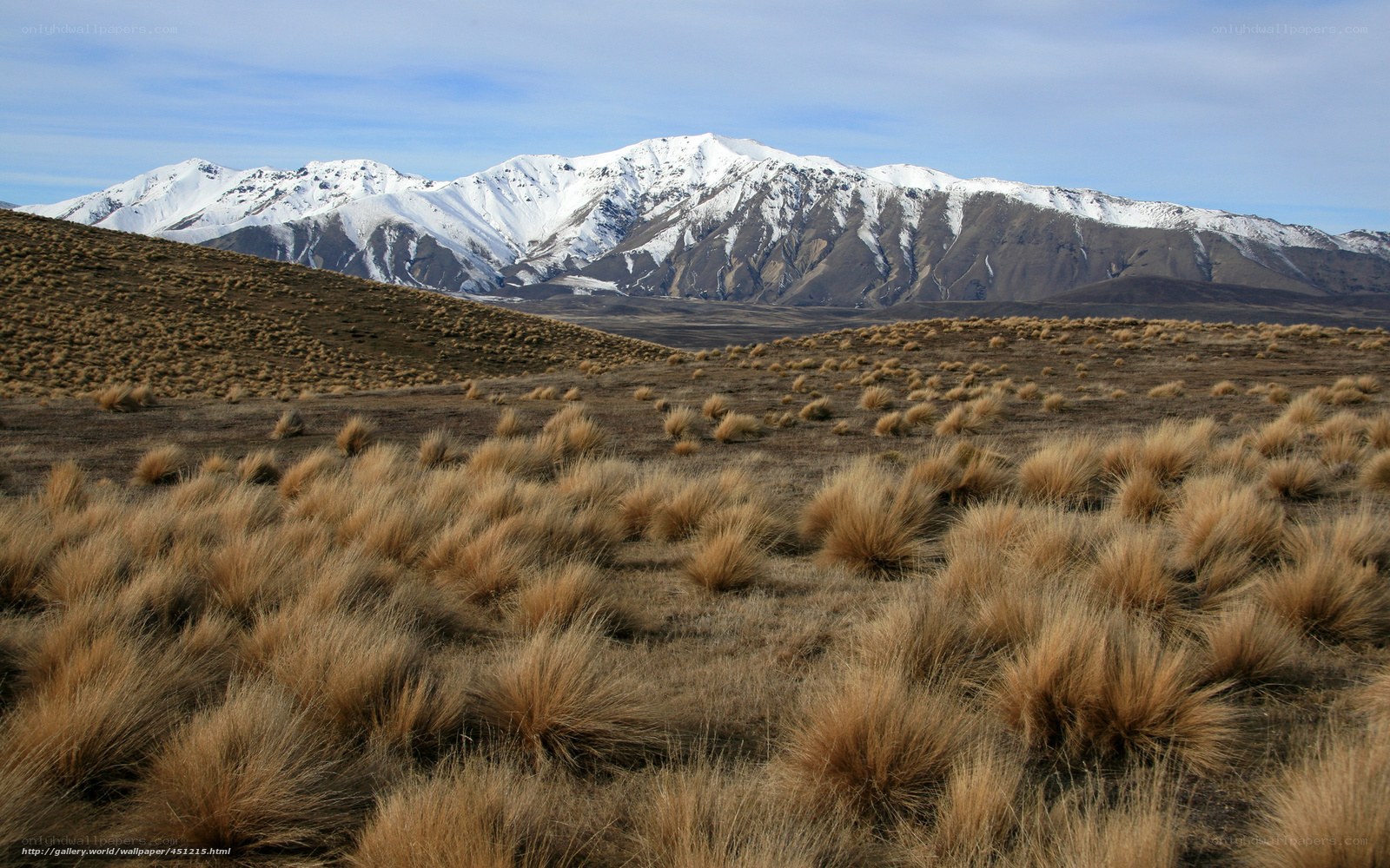 Snow-capped mountains and tussock grass