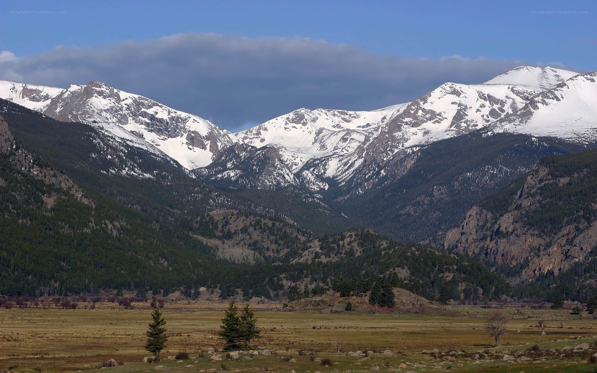 snow-capped mountains and valley