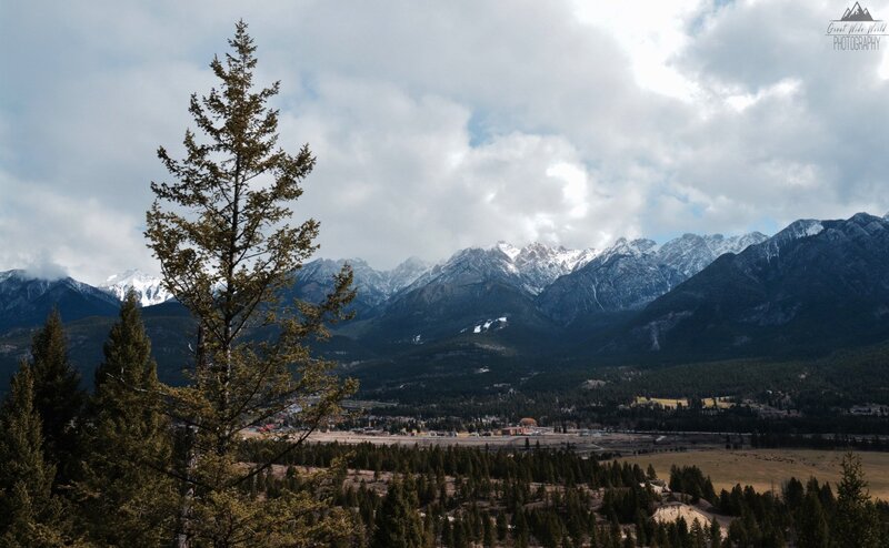 Snow-capped Mountains and Valley — Green, Serene, Afternoon
