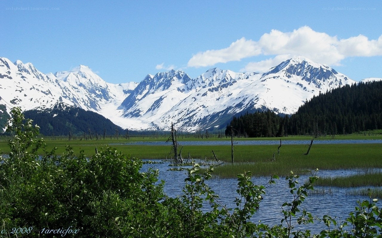 snow-capped mountains and wetlands