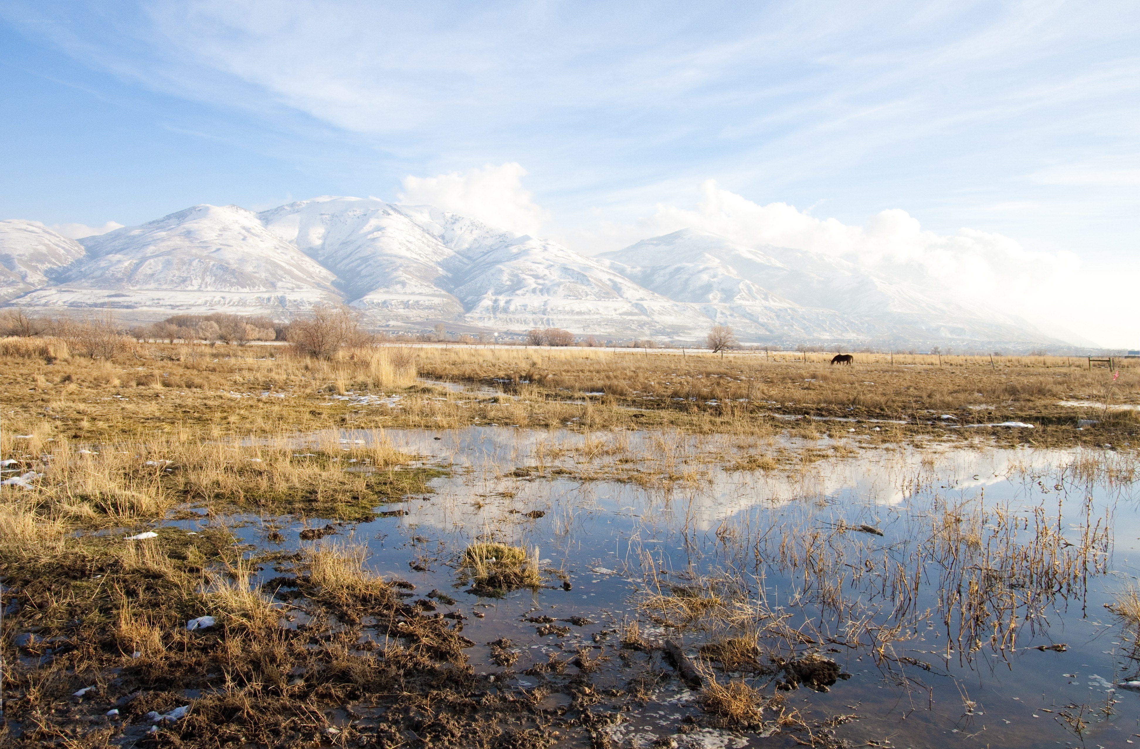 Snow-capped mountains and wetlands