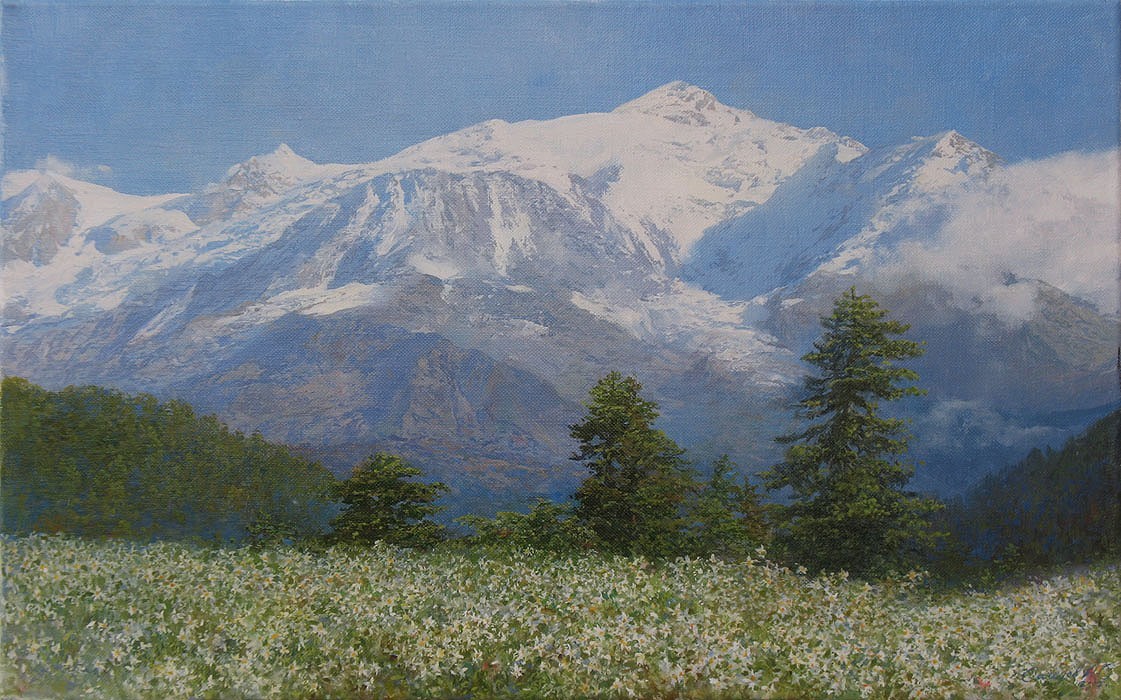 Snow-Capped Mountains and Wildflowers