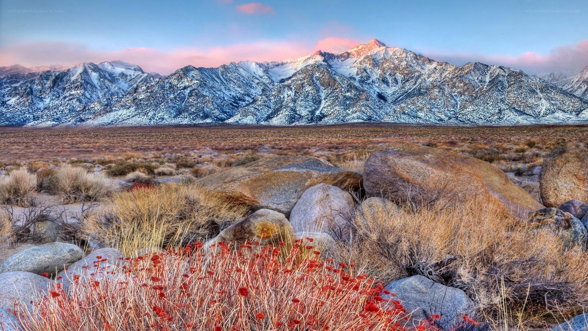 Snow-capped mountains at dawn