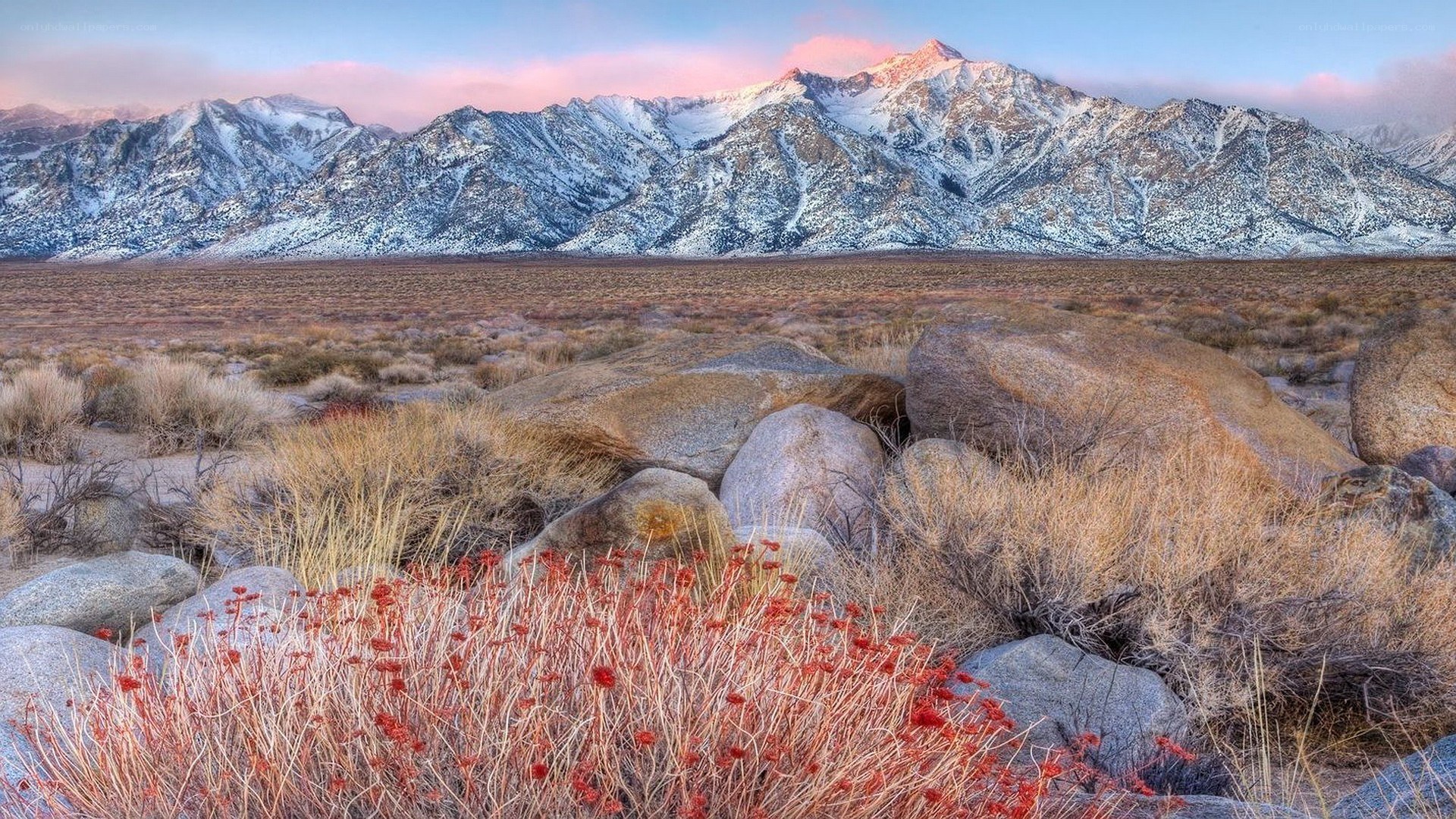 Snow-capped mountains at dawn