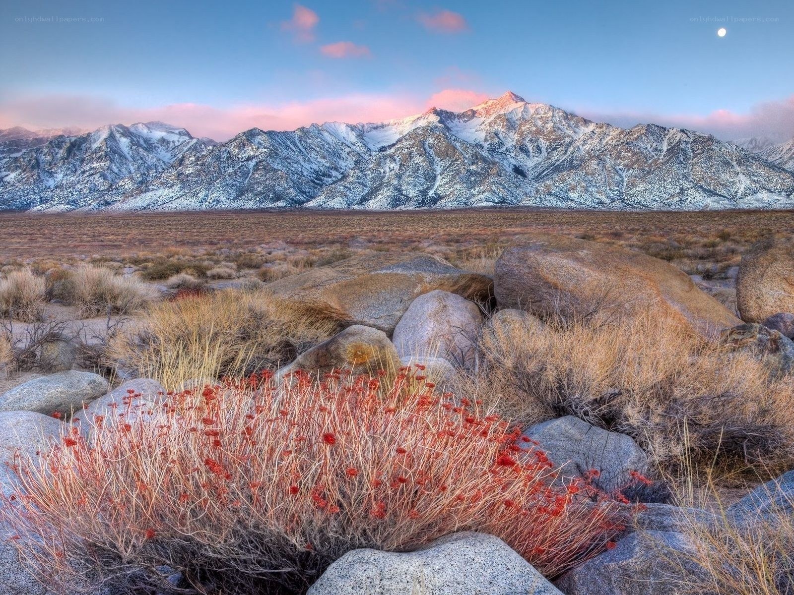 Snow-capped mountains at dawn