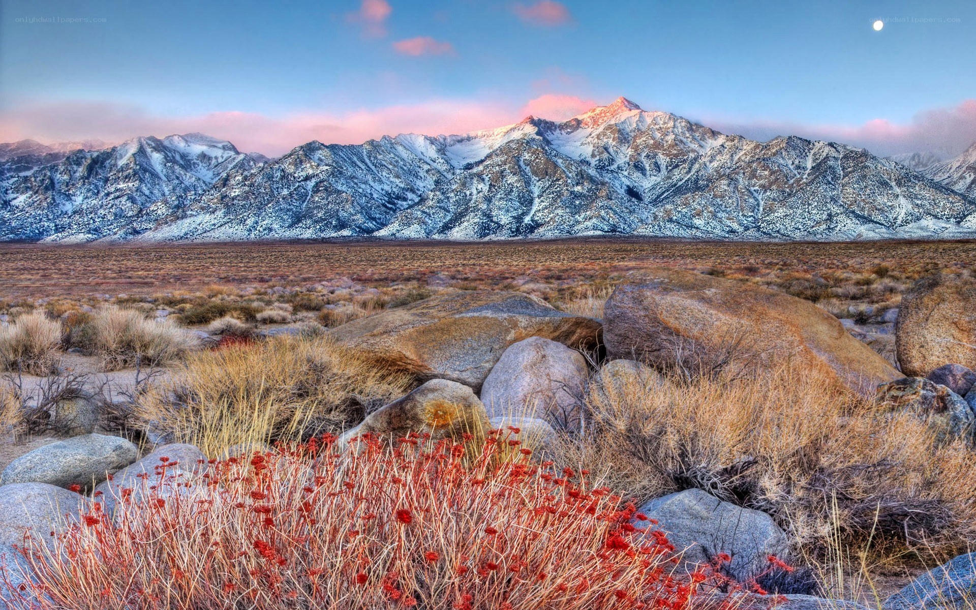 Snow-capped mountains at dusk
