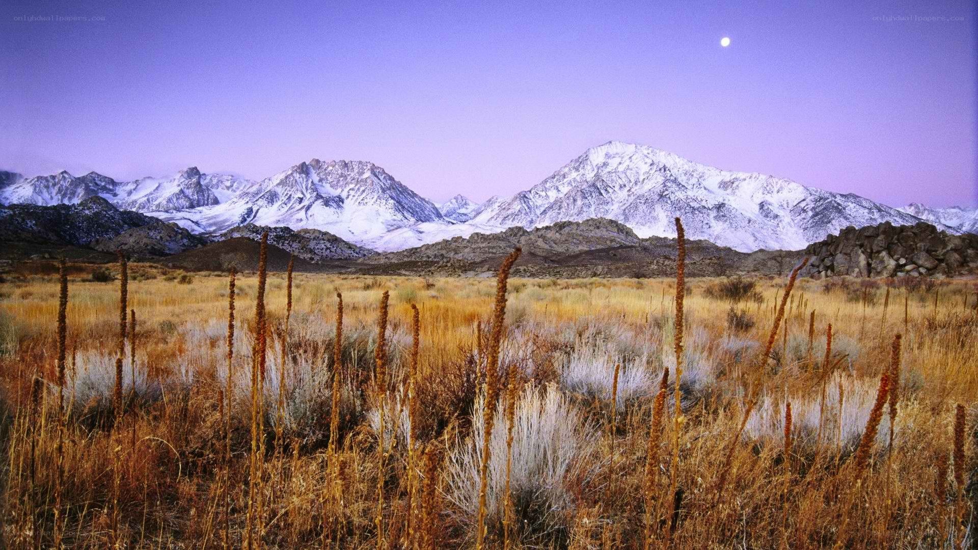 Snow-capped mountains at dusk