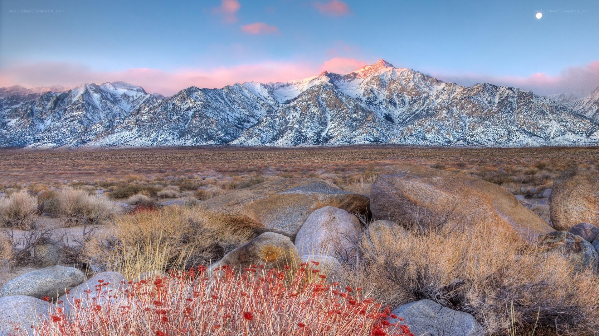 Snow-capped mountains at dusk