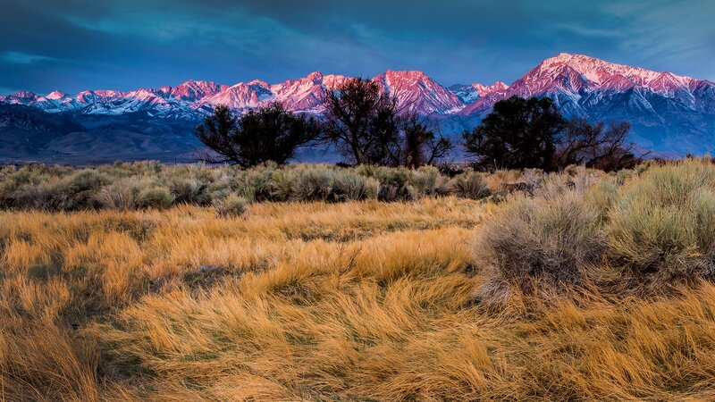 Snow-capped Mountains at Dusk — Blue, Dramatic