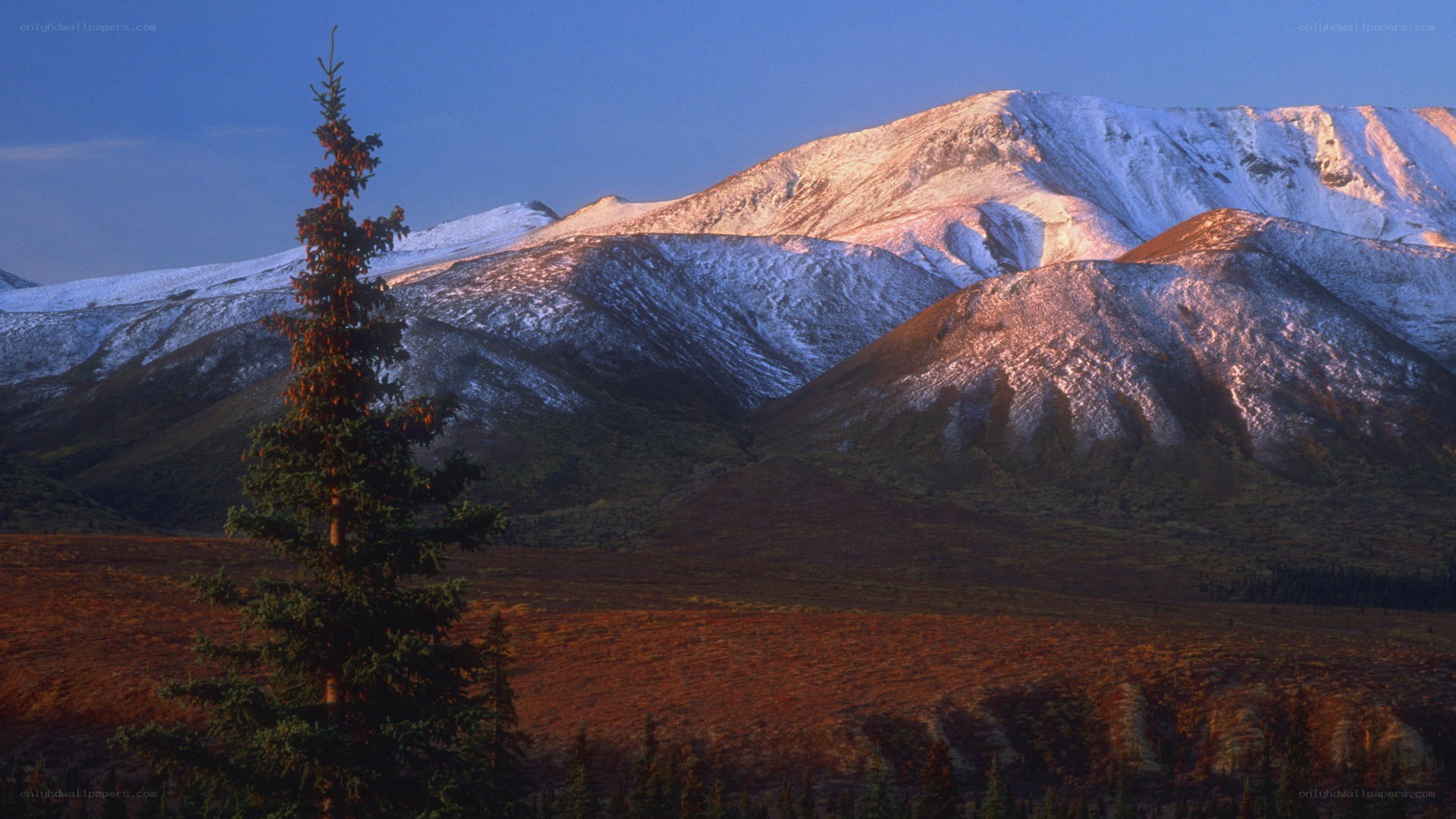 Snow-capped mountains at sunrise