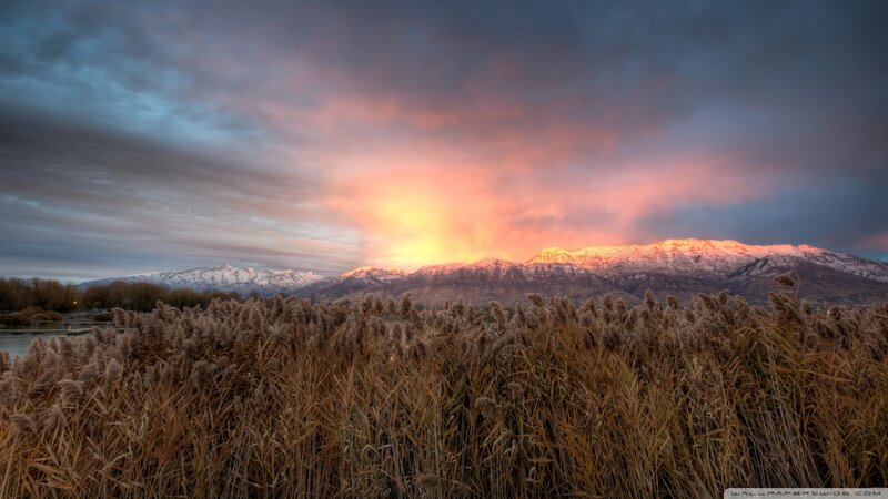 Snow-capped Mountains at Sunset — Orange, Dramatic, Photograph, Reeds