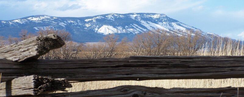 snow-capped mountains behind fence