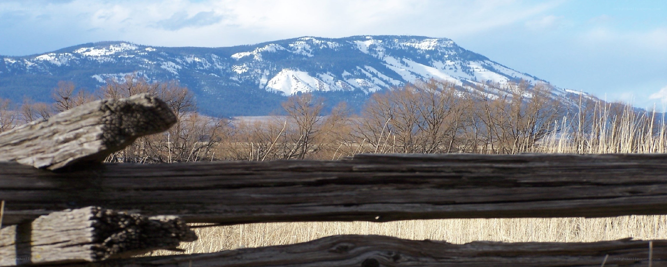 snow-capped mountains behind fence