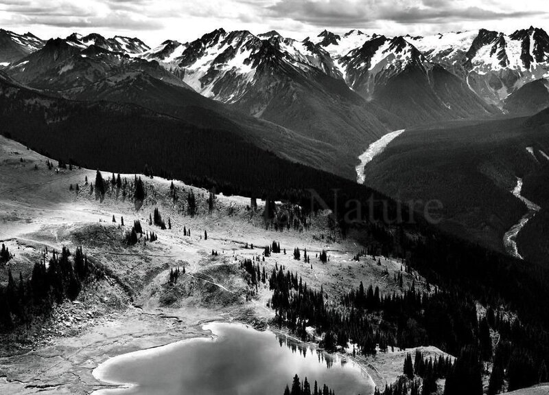Snow-capped Mountains — Black, Dramatic