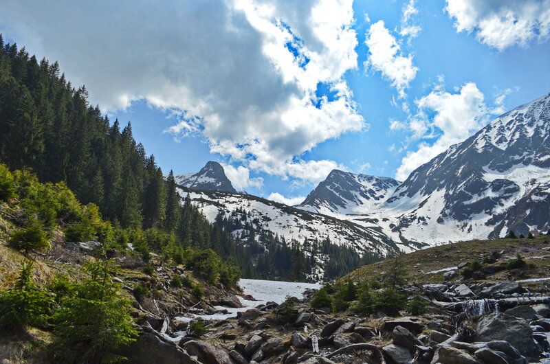 Snow-capped Mountains — Blue, Dramatic, Afternoon, Photograph, Forests