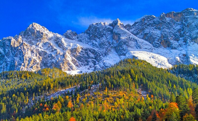 Snow-capped Mountains — Blue, Dramatic, Autumn, Photograph, Forest, Trees