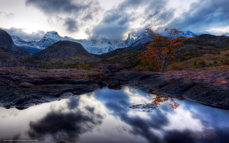 Snow-capped Mountains — Blue, Dramatic, Sunset, Photograph, Tree