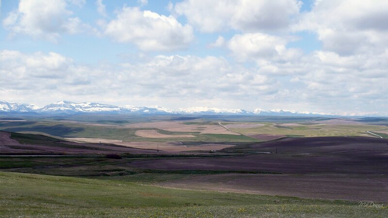 Snow-capped Mountains — Blue, Serene, Afternoon, Photograph, Fields