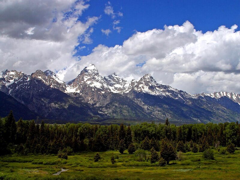 Snow-capped Mountains — Blue, Serene, Afternoon, Photograph, Forest, Meadow