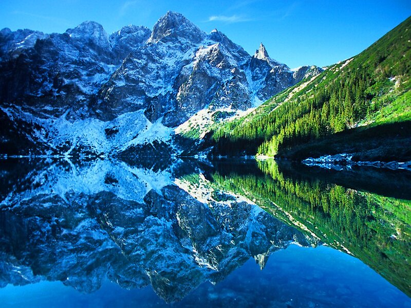 Snow-capped Mountains — Blue, Serene, Afternoon, Photograph, Lake, Forest