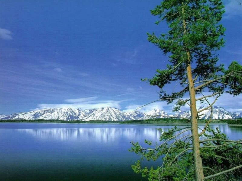 Snow-capped Mountains — Blue, Serene, Afternoon, Photograph, Lake, Tree, Sky
