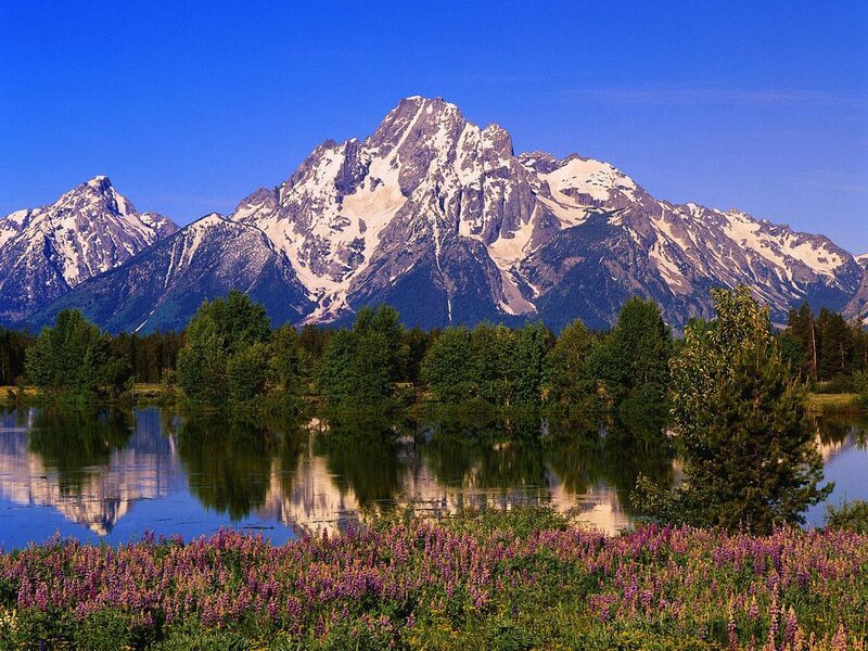 Snow-capped Mountains — Blue, Serene, Afternoon, Photograph, Lake, Trees