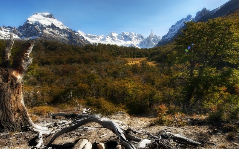 Snow-capped Mountains — Blue, Serene, Afternoon, Photograph, Trees, Forest, Green
