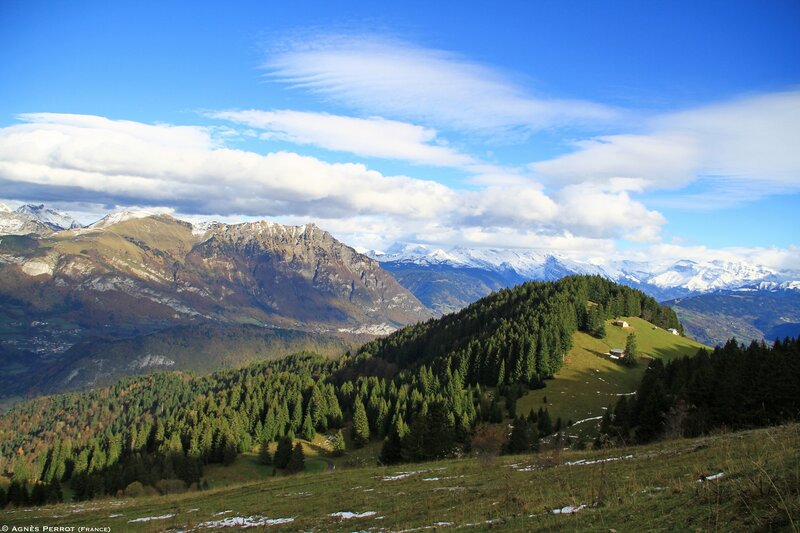 Snow-capped Mountains — Blue, Serene, Autumn, Photograph, Forests, Hills