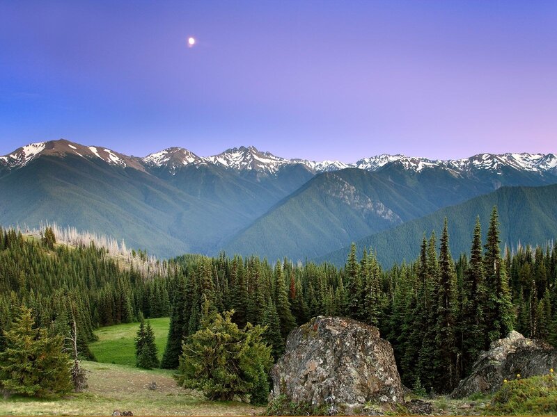 Snow-capped Mountains — Blue, Serene, Night, Photograph, Forests