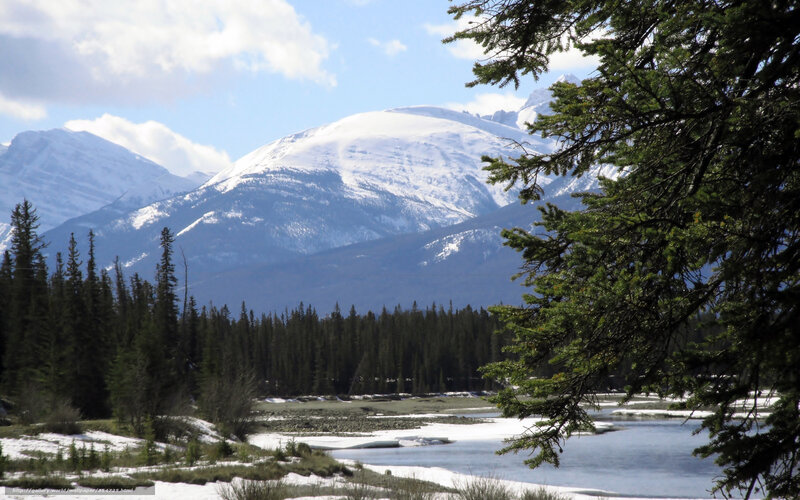 Snow-capped Mountains — Blue, Serene, Spring, Photograph, Forest