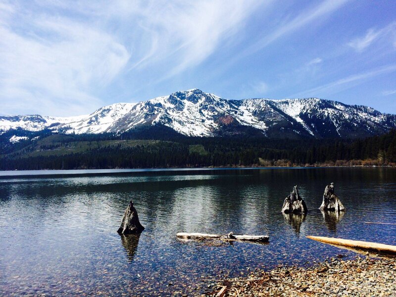 Snow-capped Mountains — Blue, Serene, Spring, Photograph, Lake, Trees, Driftwood