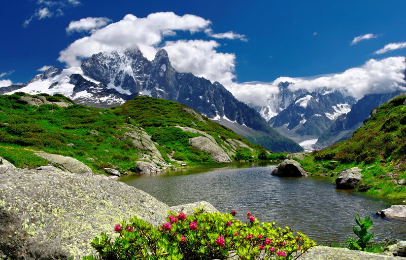 Snow-capped Mountains — Blue, Serene, Summer, Photograph, Lake, Flowers