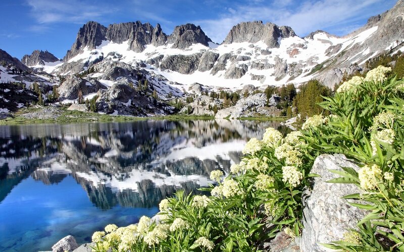 Snow-capped Mountains — Blue, Serene, Summer, Photograph, Lake, Flowers, Trees