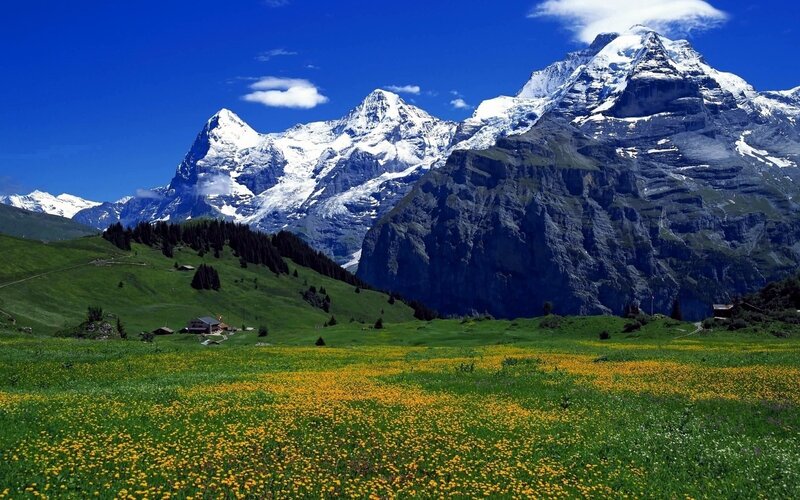 Snow-capped Mountains — Blue, Serene, Summer, Photograph
