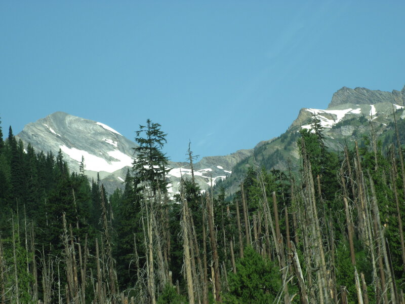 Snow-capped Mountains — Blue, Serene, Summer, Photograph, Trees, Forest
