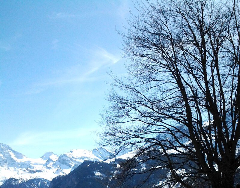 Snow-capped Mountains — Blue, Serene, Winter, Photograph, Bare Tree