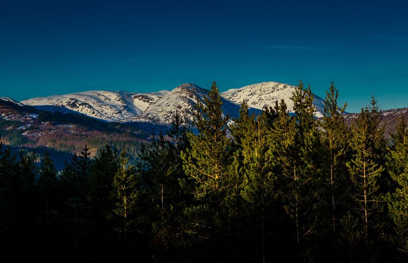 Snow-capped Mountains — Blue, Serene, Winter, Photograph, Pine Trees