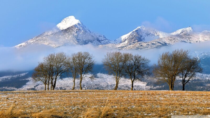Snow-capped Mountains — Blue, Serene, Winter, Photograph, Trees, Fog