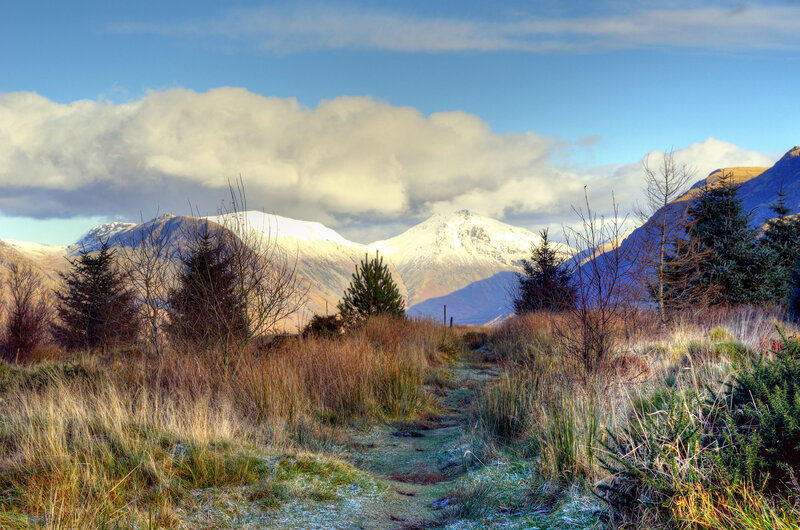 Snow-capped Mountains — Blue, Serene, Winter, Photograph, Trees, Path