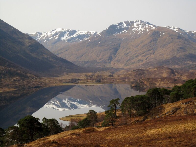 Snow-capped Mountains — Brown, Serene