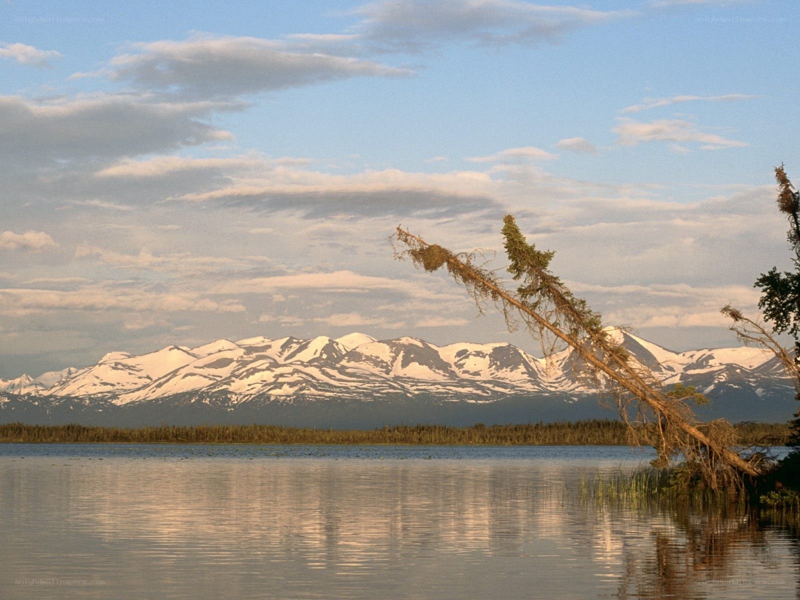 Snow-capped mountains by a lake