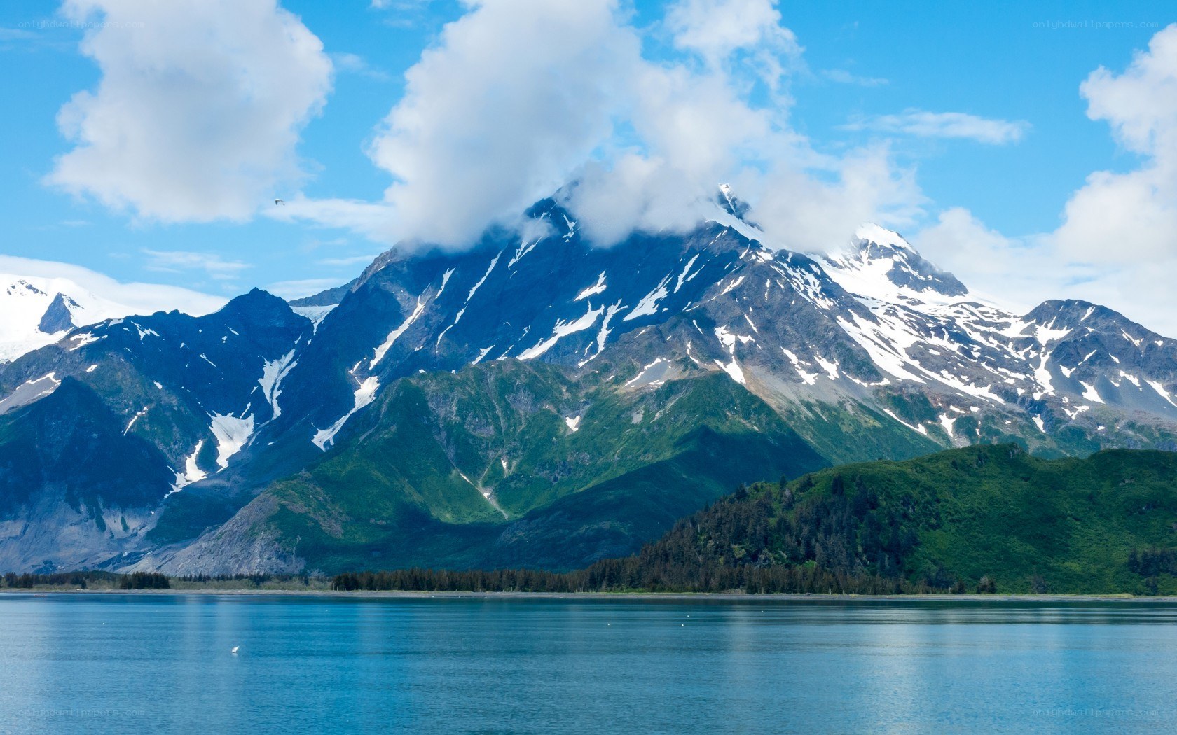 snow-capped mountains by the sea