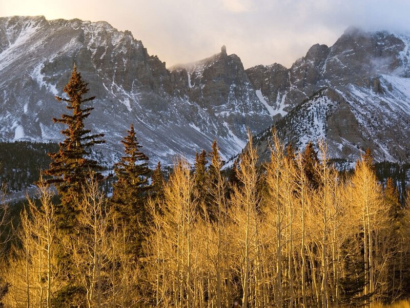 Snow-capped Mountains — Gold, Serene, Sunset, Photograph, Trees